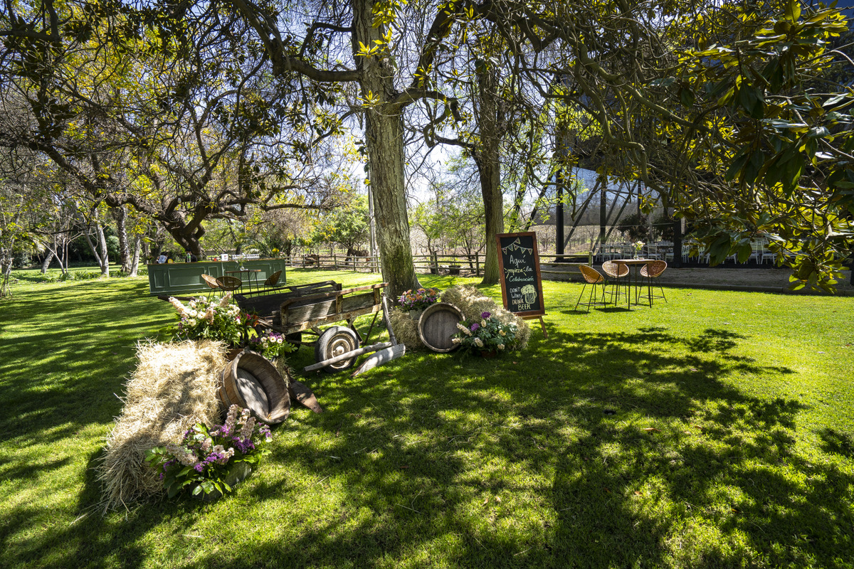 dsc05728.tierra 1.jpg