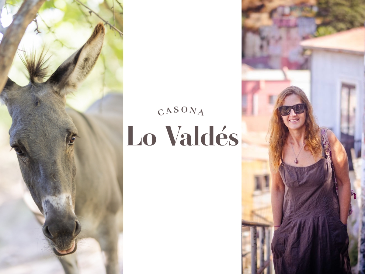 olivos del monte (2)